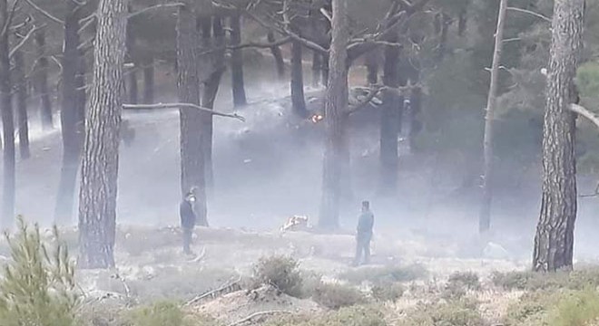 Balıkesir'de orman yangını