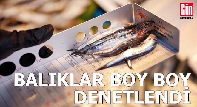 Balıklar boy boy denetlendi