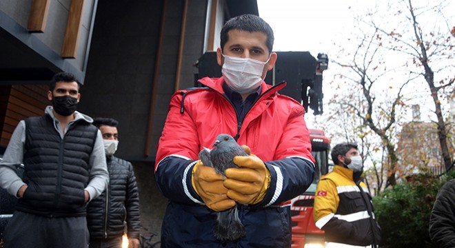 Balkona sıkışan güvercini itfaiye kurtardı