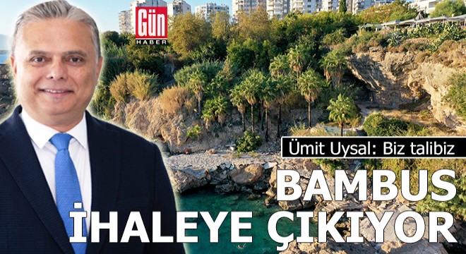 Bambus Koyu ihaleye çıkıyor