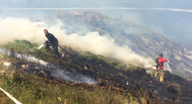 Bandırma'da 1,5 hektarlık makilik alan yangında zarar gördü