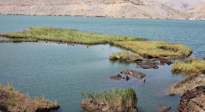 Baraj gölündeki yüzen adalar sabitlenecek