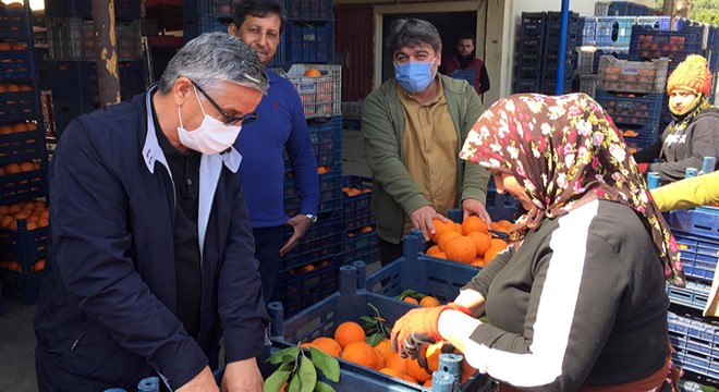 Başkan Topaloğlu, portakal işçileriyle buluştu