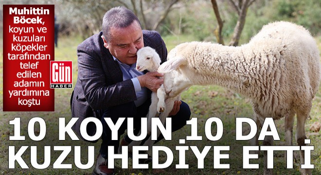 Başkan Böcek ten 10 koyun, 10 kuzu hediye