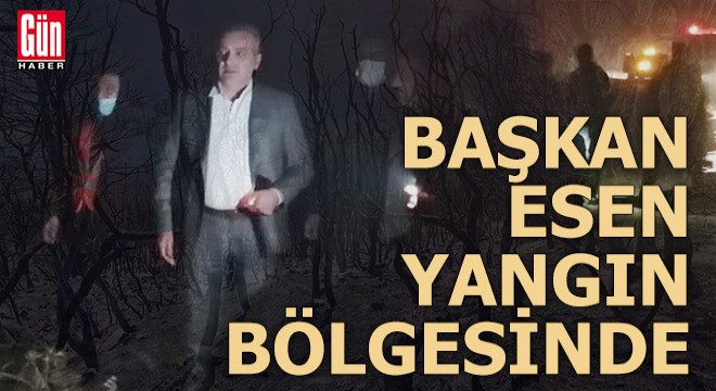 Başkan Esen, orman yangını bölgesinde