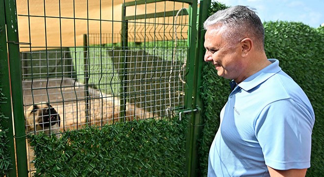 Başkan Uysal:  Denge Sağlanmalı 