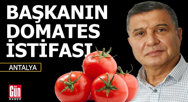 Başkanın domates istifası