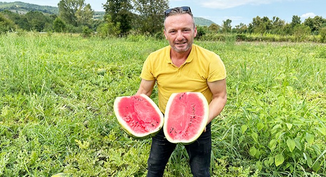 Batı Karadeniz’de 5 yılda 750 ton karpuz üretti