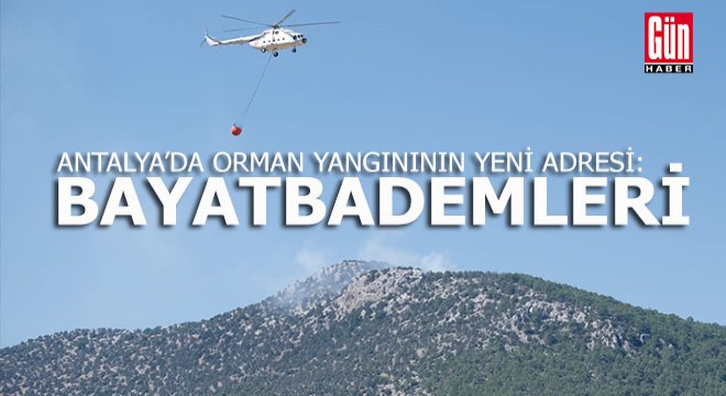 Bayatbademleri'nde orman yangını