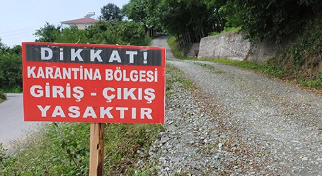 Bergama'da 'mavi dil hastalığı' alarmı