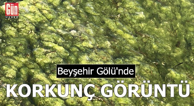 Beyşehir Gölü'nde korkunç görüntü