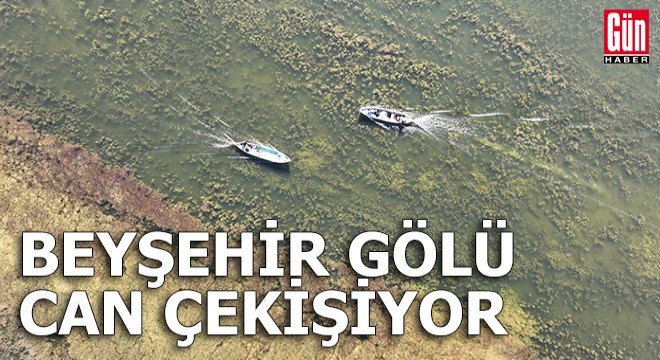 Beyşehir Gölü, can çekişiyor