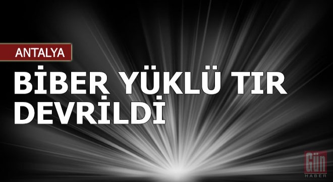 Biber yüklü TIR devrildi