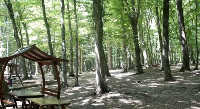 Bilecik'te ormanlara giriş yasaklandı