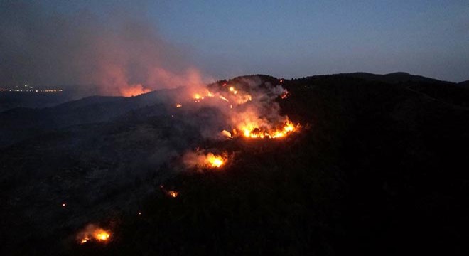 Bilecik teki orman yangını söndürüldü