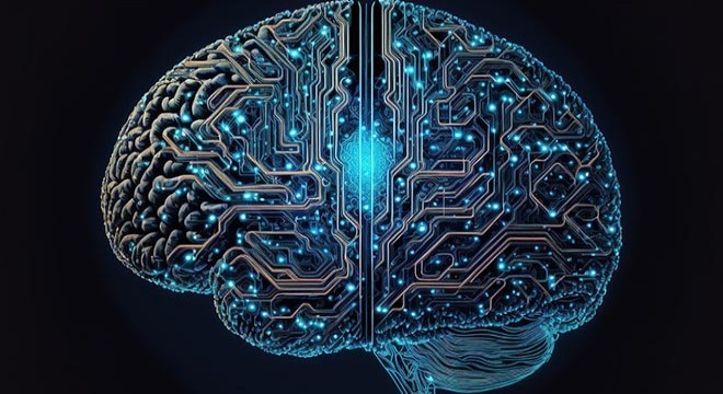 Bilim insanları kafatasının içinde gizlenen yeni bir organ keşfetti