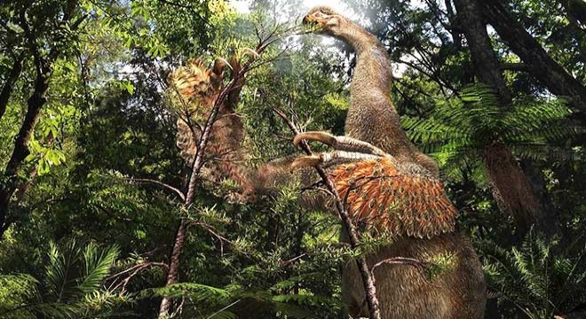 Bilim insanları  iki parmaklı yeni dinozor türü  keşfetti