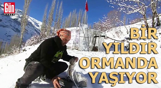 Bir yıldır ormanda yaşıyor