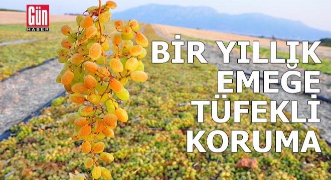 Bir yıllık emeğe tüfekli koruma