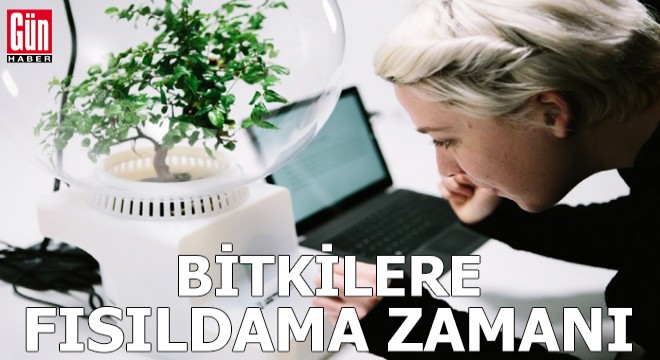 Bitkilere fısıldama zamanı