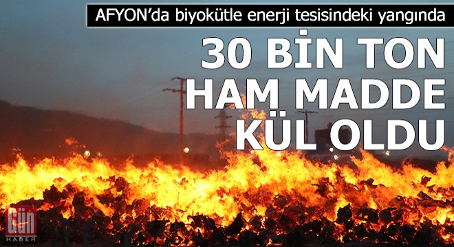 Biyokütle enerji tesisindeki yangında 30 bin ton ham madde kül oldu