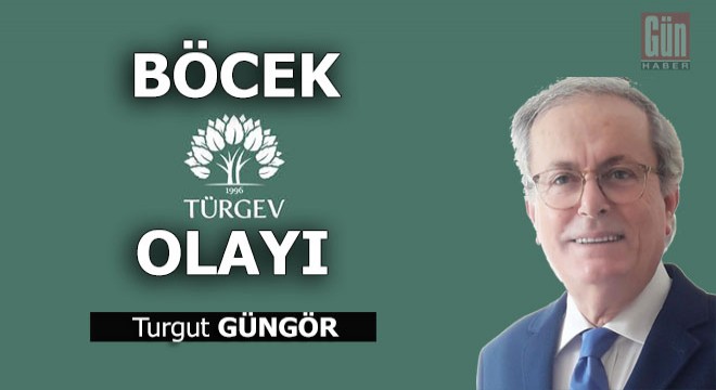 Böcek-Türgev olayı