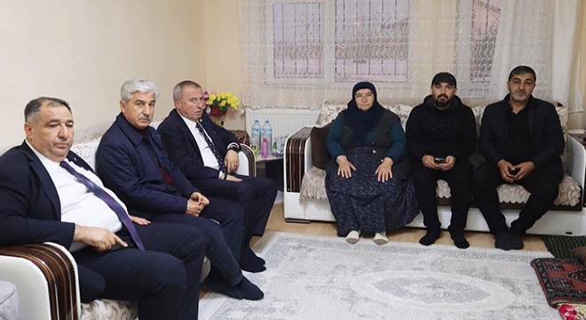 Böcek ailesine taziye