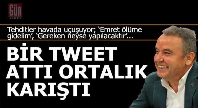 Böcek bir tweet attı ortalık karıştı