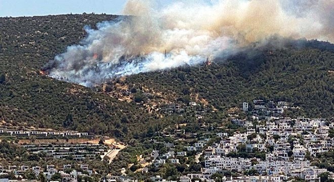 Bodrum'da makilik yangını