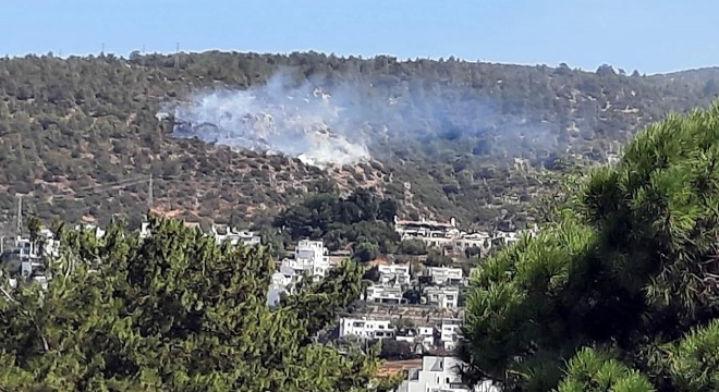 Bodrum'da makilik yangını