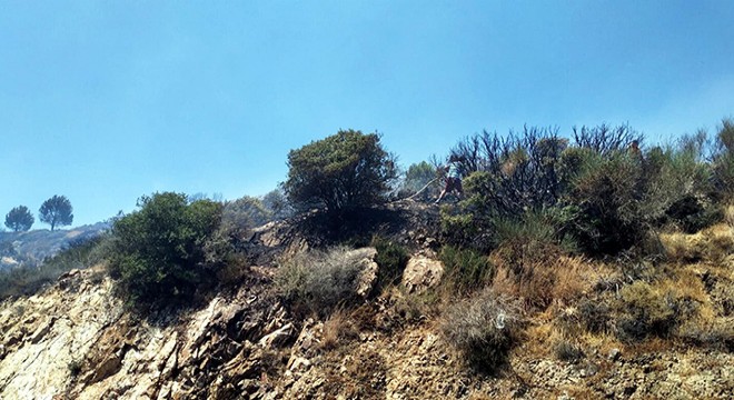Bodrum'da makilik yangını