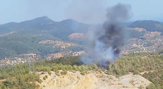 Bodrum'da orman yangını