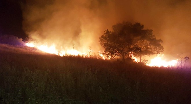 Bodrum'da otluk ve makilik alanda yangın