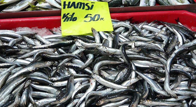 Boğazda hamsi avı yasaklandı