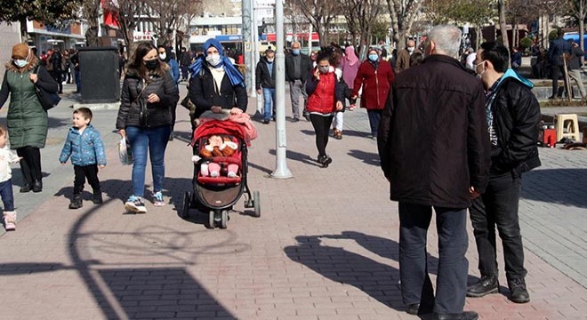 Bolu da vaka artışları endişeye neden oldu