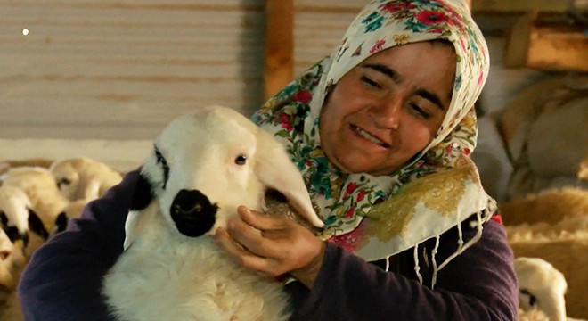 Borçla aldıkları evleri yıkılınca, ahırı ev yaptılar