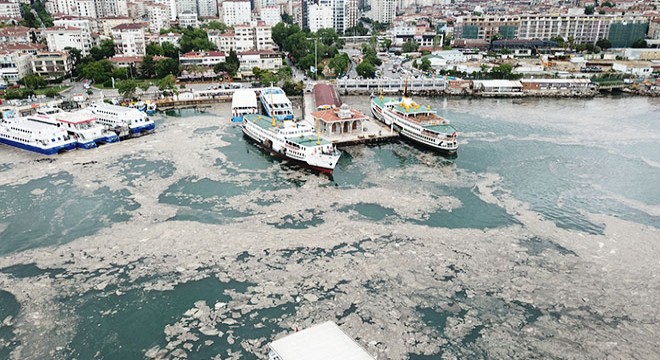 Bostancı sahilini saran deniz salyası havadan görüntülendi