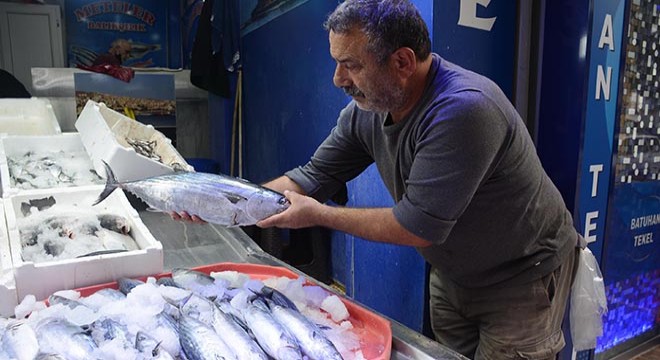 Boy sınırı altında avlanan palamut bu yıl az