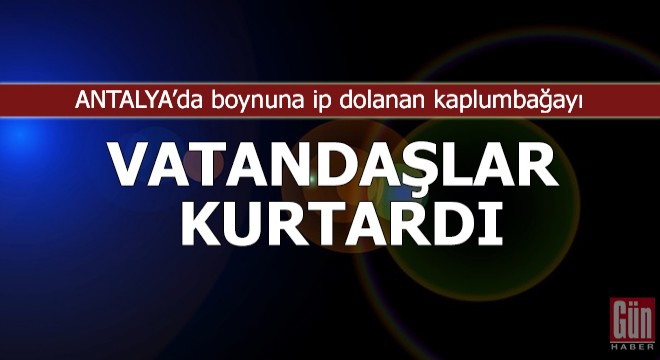 Boynuna ip dolanan kaplumbağayı vatandaşlar kurtardı