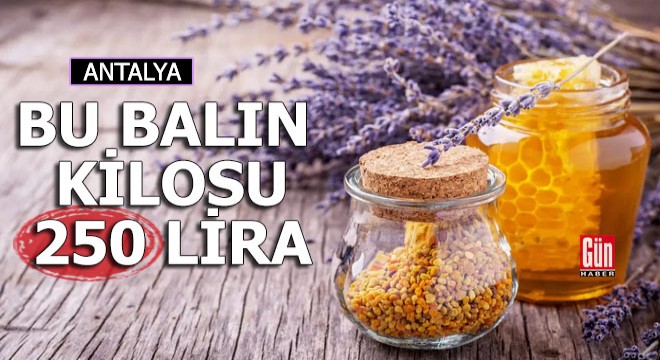 Bu balın kilosu 250 TL