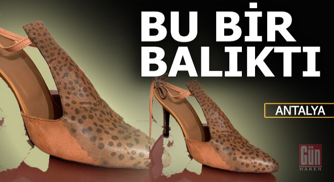 Bu bir balıktı...