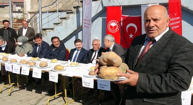Bu da 'en güzel patates' yarışması
