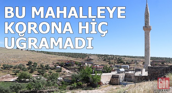 Bu mahallede hiç koronavirüs vakasına rastlanmadı