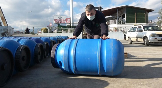 Bu zeytinler sofralara, yuvarlanarak geliyor