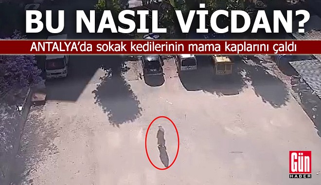 Bu nasıl vicdan? Sokak kedilerinin mama kaplarını çaldı