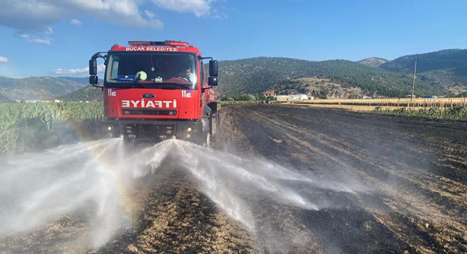 Bucak ta 60 dekar hububat tarlası yandı