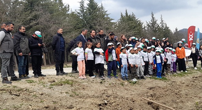 Bucak ta fidan dikim etkinliği