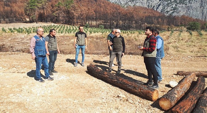 Bucak ve Sütçüler de yanan orman sahalarında inceleme