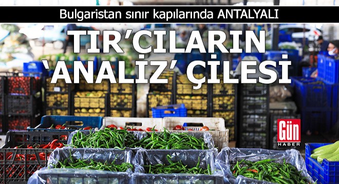 Bulgaristan sınır kapılarında Antalyalı TIR cıların  analiz  çilesi