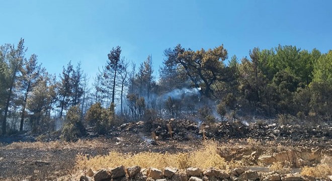 Burdur'da orman yangını